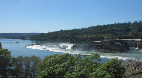 Willamette Falls